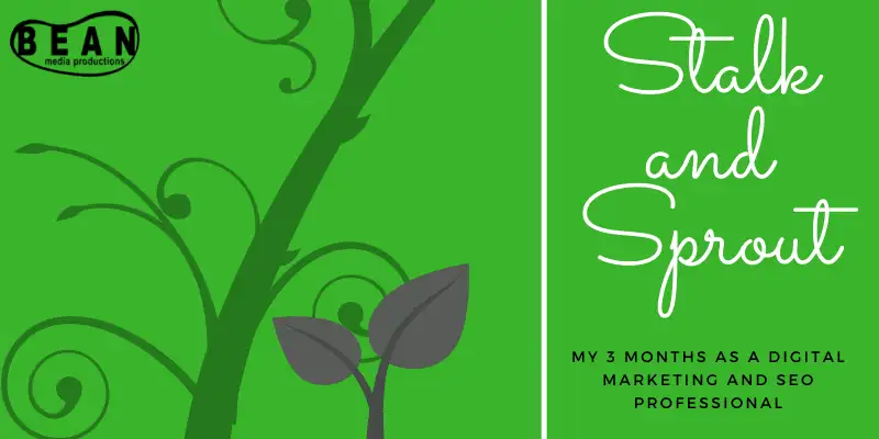 Green Background with bean media productions logo and a graphic of a bean stalk and a bean sprout. Title text: "stalk and sprout. My 3 months as a Digital Marketing and SEO professional"